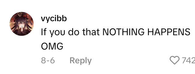 TikTok comment